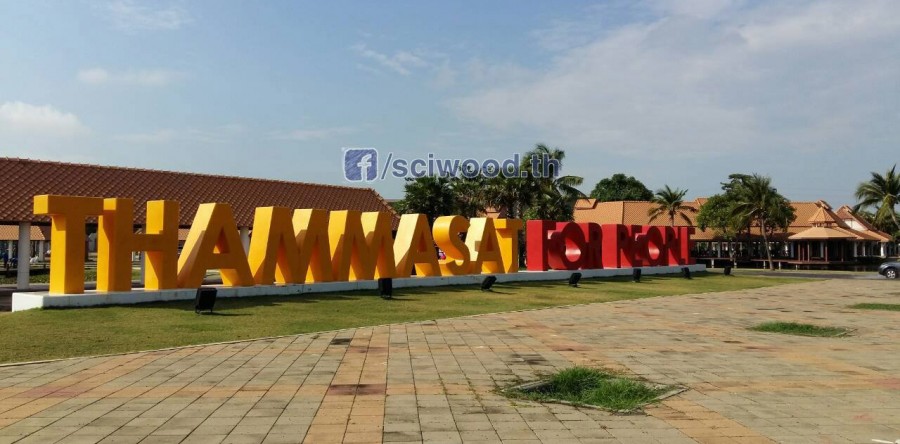 <!--:en-->พื้นไม้ ศูนย์ประชุม ธรรมศาสตร์รังสิต<!--:-->