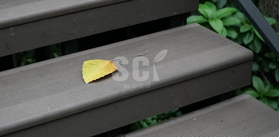 ก.ฟ.ผ ประเทศไทย