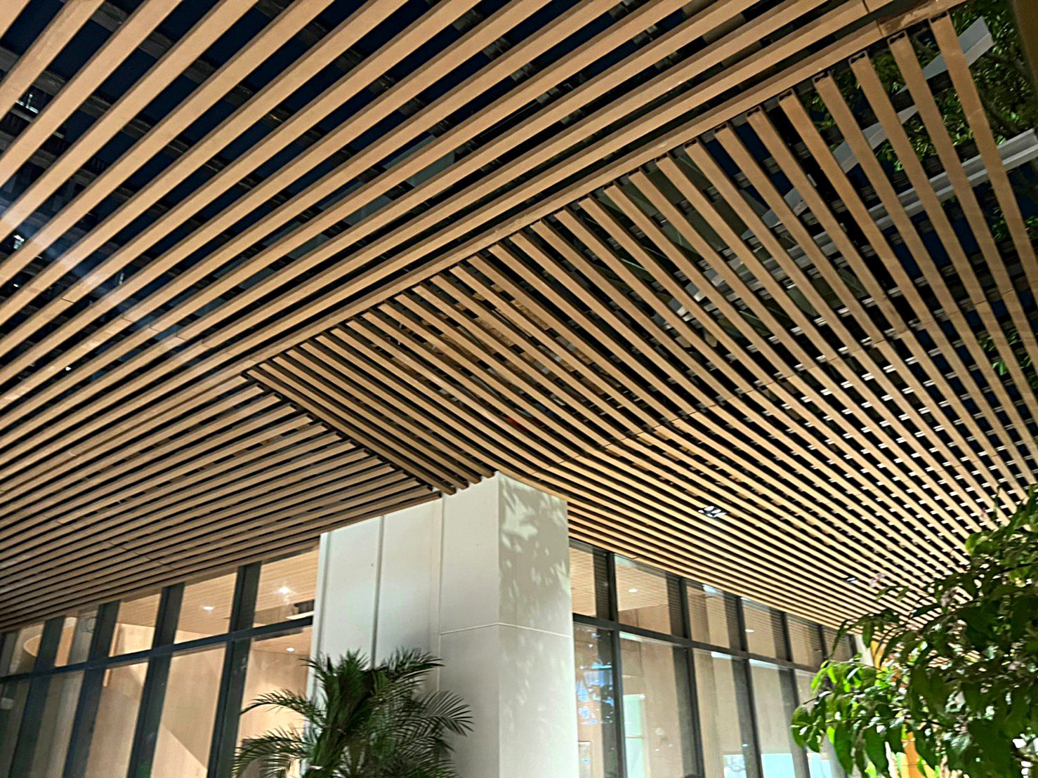 slat-ceiling-with-greenery-06 ฝ้าระแนงภายในอาคารอยู่เหนือพื้นที่กระจกและต้นไม้สีเขียว