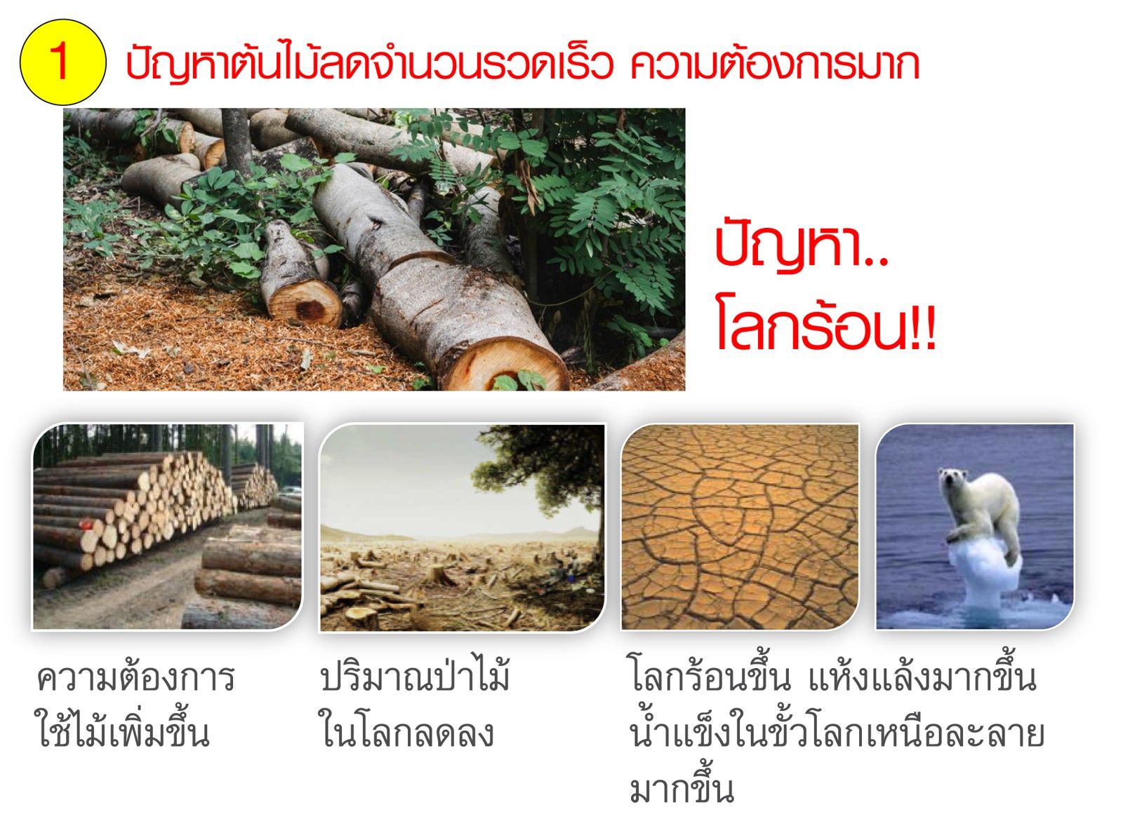 ภาพประกอบปัญหาการตัดต้นไม้ การสูญเสียป่าไม้ และภาวะโลกร้อน
