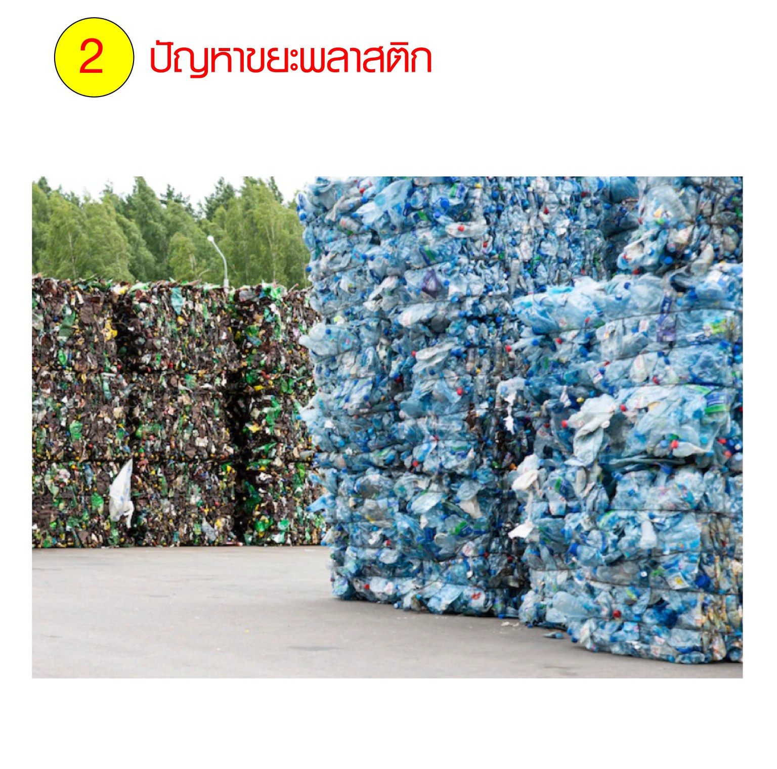 ภาพขวดพลาสติกใช้แล้วอัดก้อน แสดงปัญหาขยะพลาสติกที่ต้องคัดแยกและจัดการ